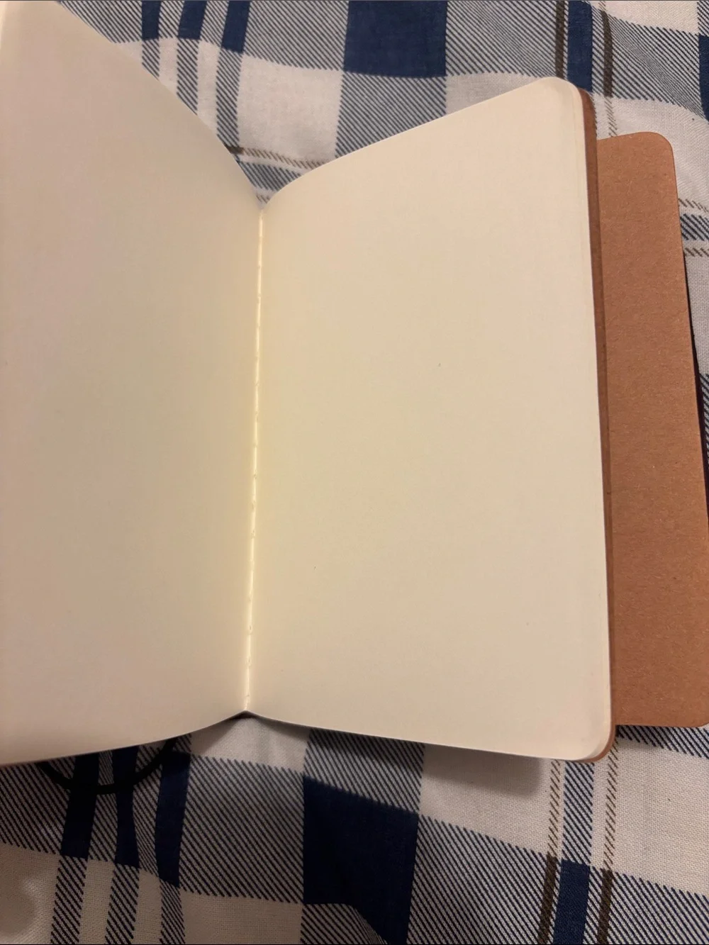 Louise Carmen style leather journal